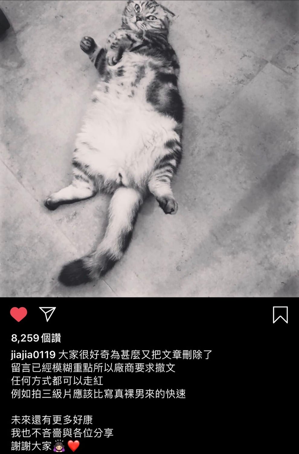 家家PO解釋自己火速刪除照片的原因，是因為網友的留言已經模糊焦點，應廠商要求將照片下架。 圖：翻攝Instagram