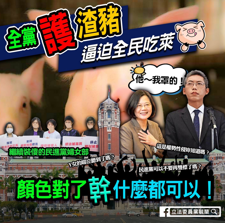 國民黨立委葉毓蘭今（14日）在臉書發文批民進黨「全黨護渣豬」，還嗆「執政黨可以組成裝聾作啞國家隊」。 圖 : 翻攝自葉毓蘭臉書