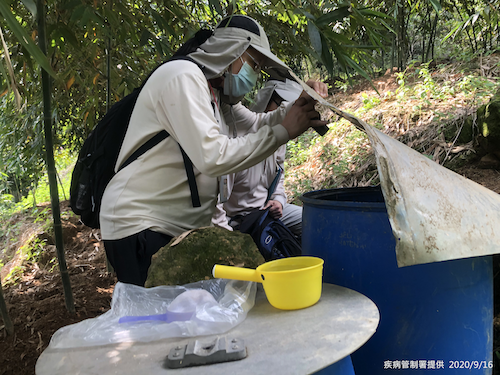 疾管署防疫人員前往新北市三峽區五寮尖山菜園進行孳生源查核。 圖：疾管署/提供