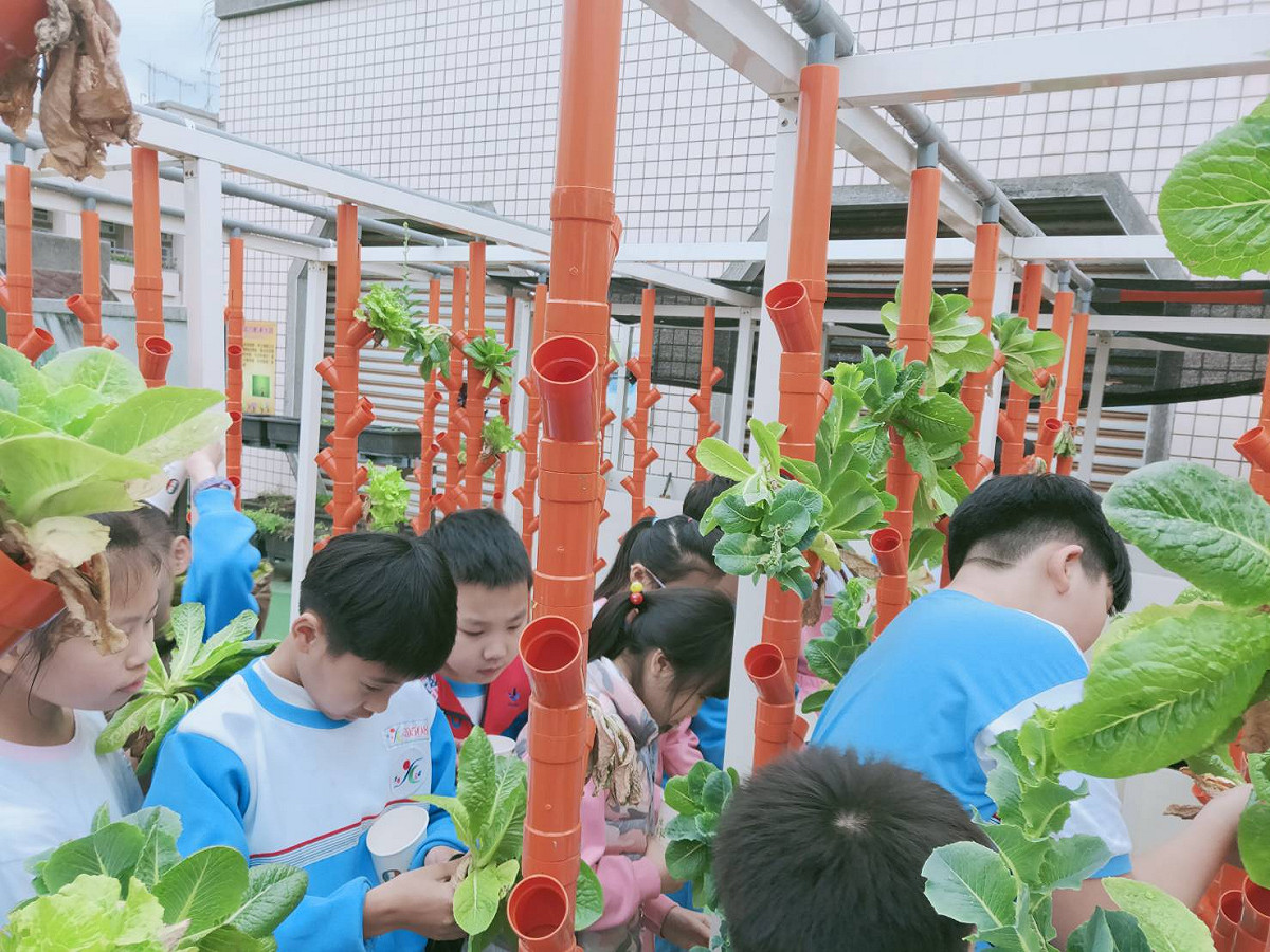 光復國小獲得金熊級低碳校園標章，推動蚓菜共生。 圖：新北市環保局提供
