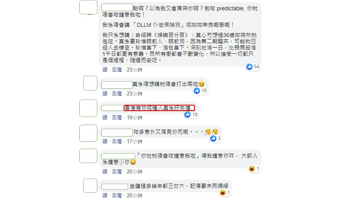 網友在林作發文底下留言，香港有他這種人，真的好失禮。 圖：翻攝臉書粉絲專頁