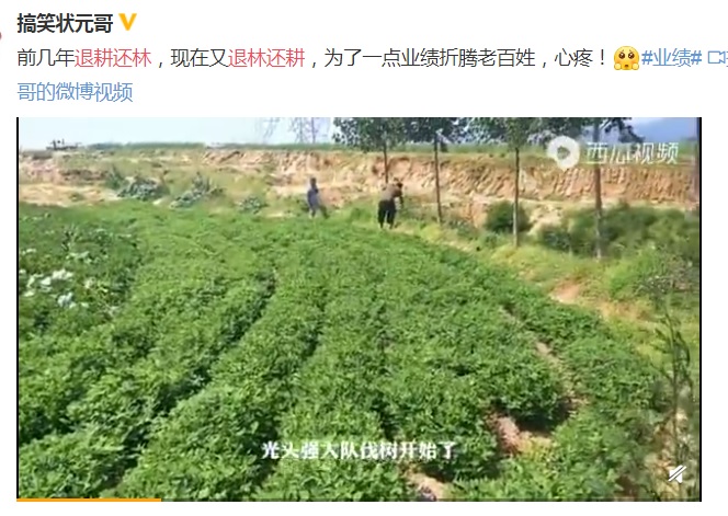 中國網友在微博po出各農民忙著吹果樹、種糧食的影片，痛批根本是折騰老百姓。 圖：翻攝自搞笑狀元哥微博