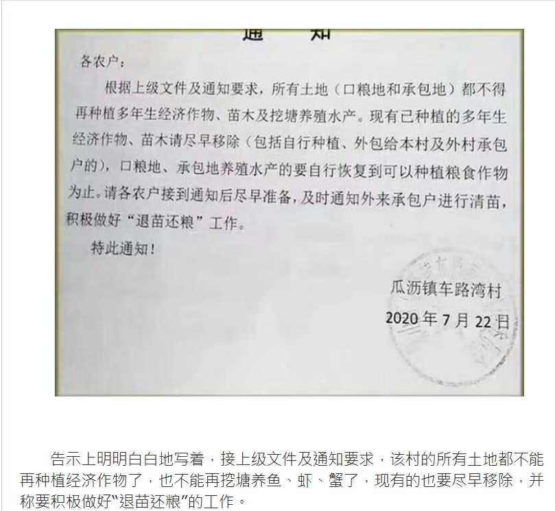 中國浙江省蕭山瓜瀝鎮貼出「退果還糧」公告，要求農民自行將土地「恢復到可以種植糧食作物為止」。 圖：翻攝自中國360苗木網