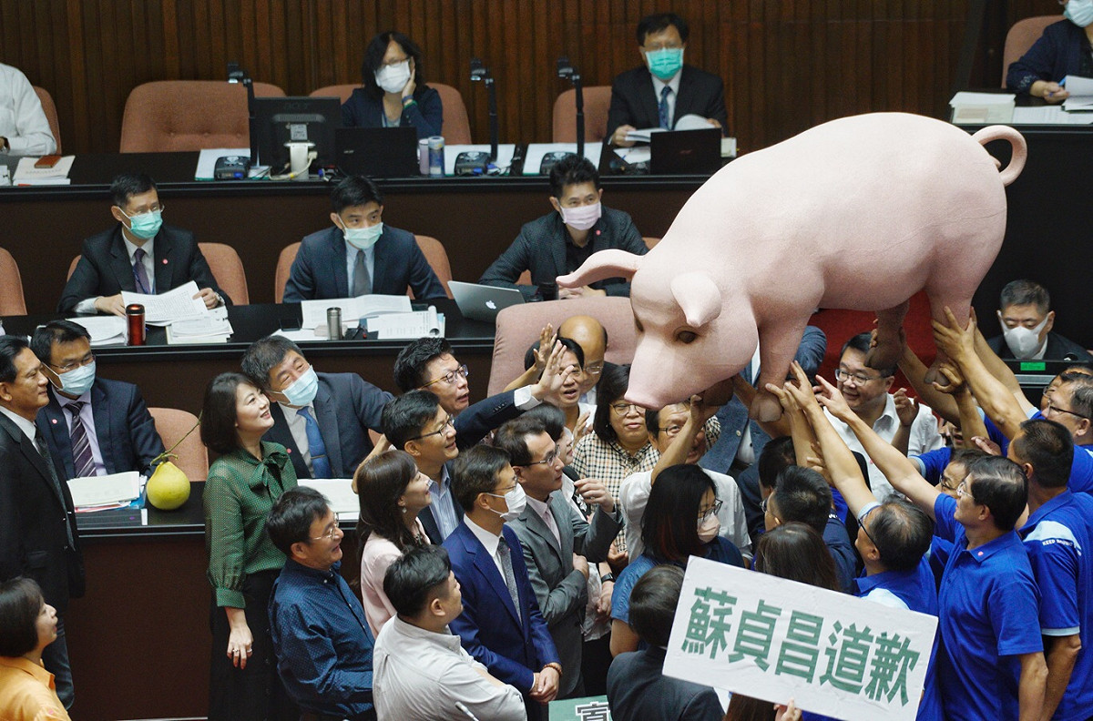 國民黨巨型豬隻成立院攻防焦點 圖:張良一攝