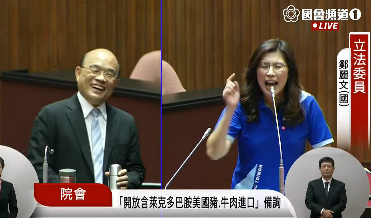 國民黨立委鄭麗文強硬批評蔡政府作為。 圖：擷取自國會頻道