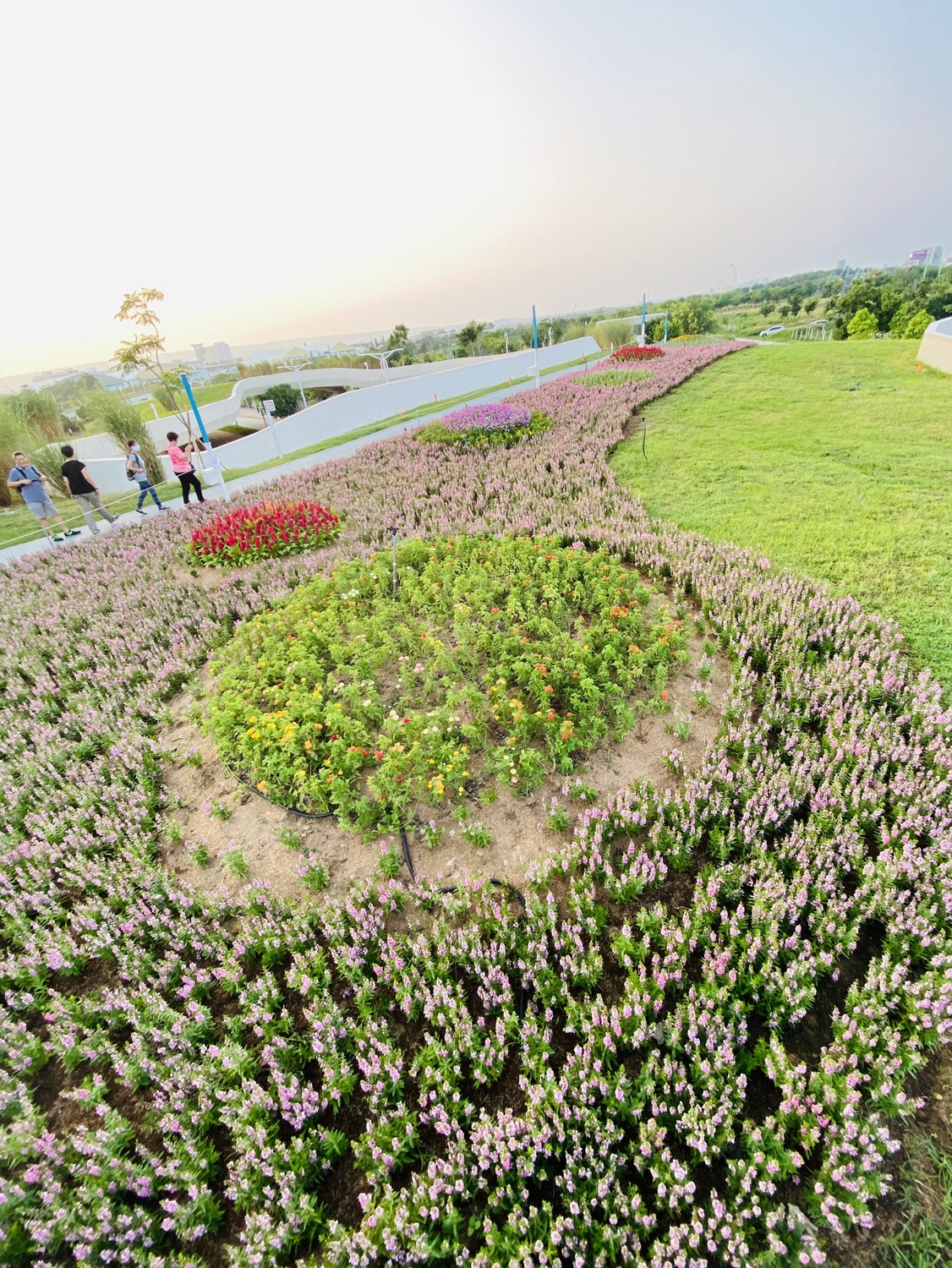 中市中央公園即將開幕_超夢幻歐式花海滿足遊客偽出國體驗。 圖：台中市政府建設局／提供
