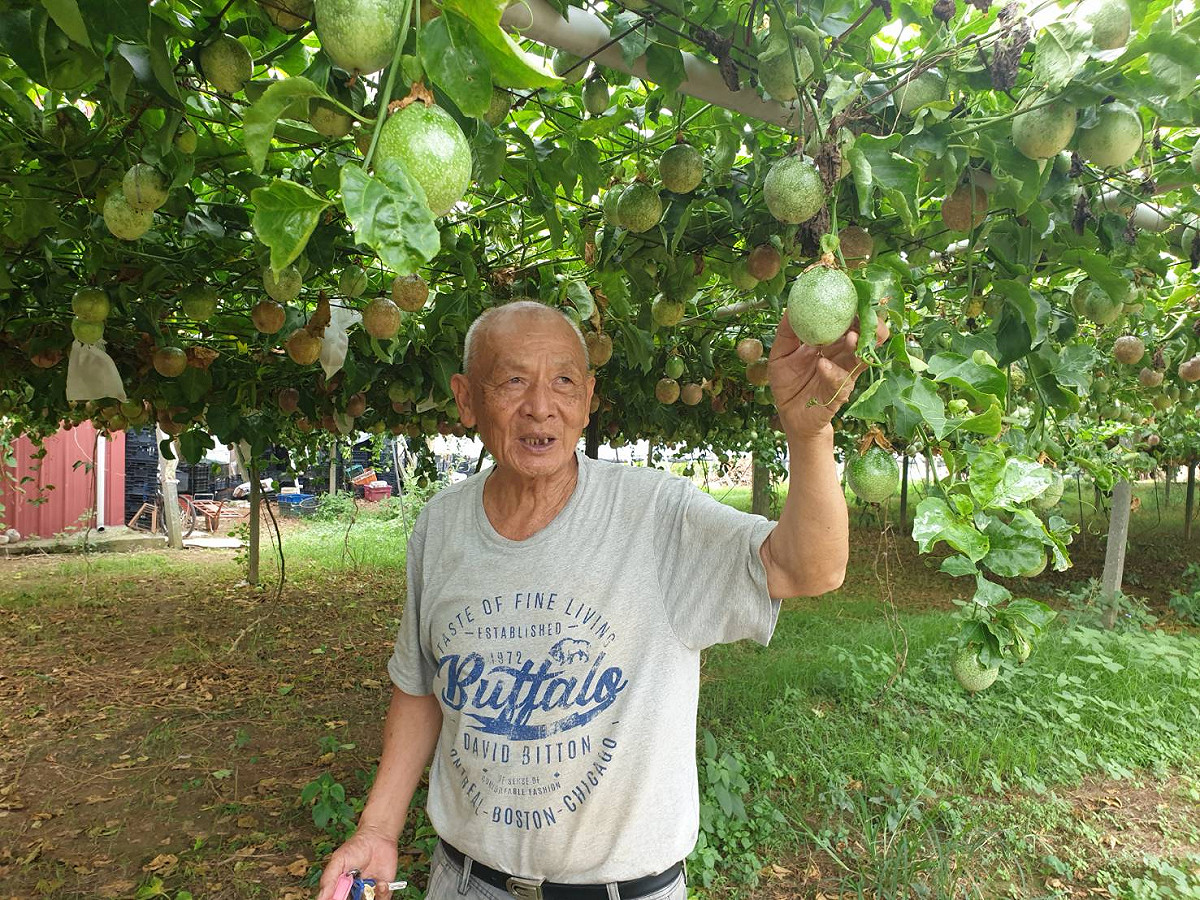 陳水良每天以赤腳感受大地，傾聽植物的聲音。 圖：陳水良／提供