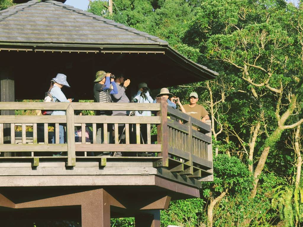 田寮消有豐富的鳥類供觀察。  圖：新北市農業局 / 提供