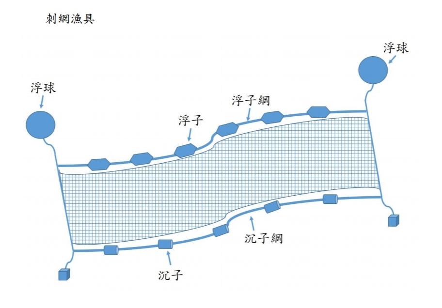 刺網漁具示意圖。 圖：行政院農業委員會漁業署／提供