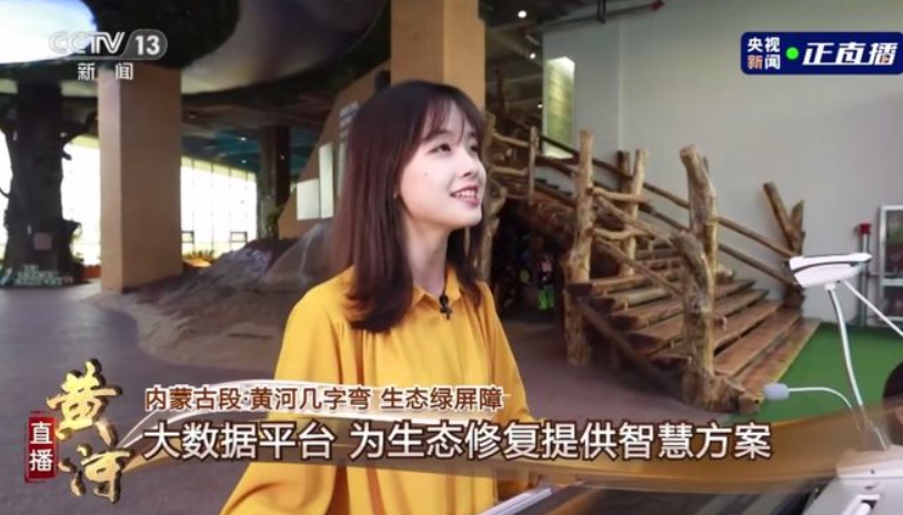央視女記者王冰冰。 圖 : 翻攝自网易娱乐