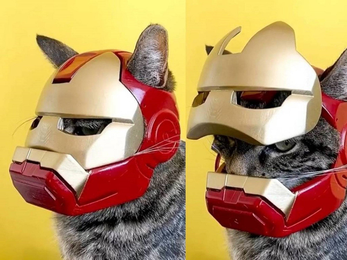 Cathode：守護世界和平就靠本喵了！ 圖：取自／IG@mon_copain_ray