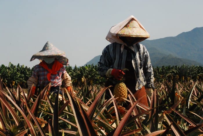 格外農品期望能創造農民、消費者、環境三者共生、共好的局面。 圖：創夢市集/提供