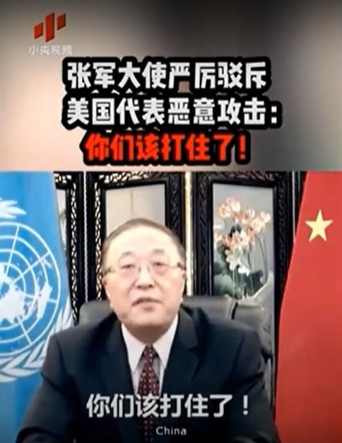 張軍在聯合國會議中痛罵：「夠了！你們（美國）已經給全世界製造夠多麻煩。」 圖：翻攝小央視頻