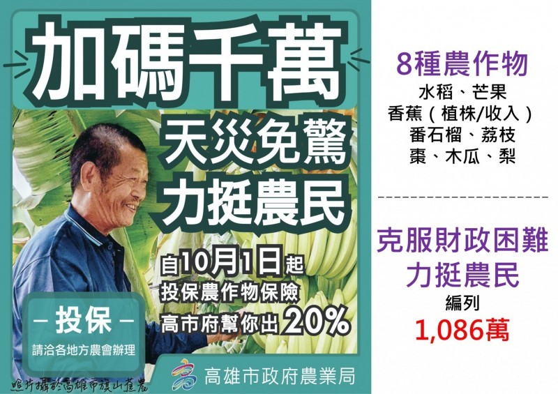 適用保險補貼範圍者，主要為目前8種農作物保險，即水稻、芒果、香蕉、芭樂、荔枝、棗、木瓜、梨等等，相關費用預估約1000萬元，均由市府負擔。 圖：高雄市政府／提供