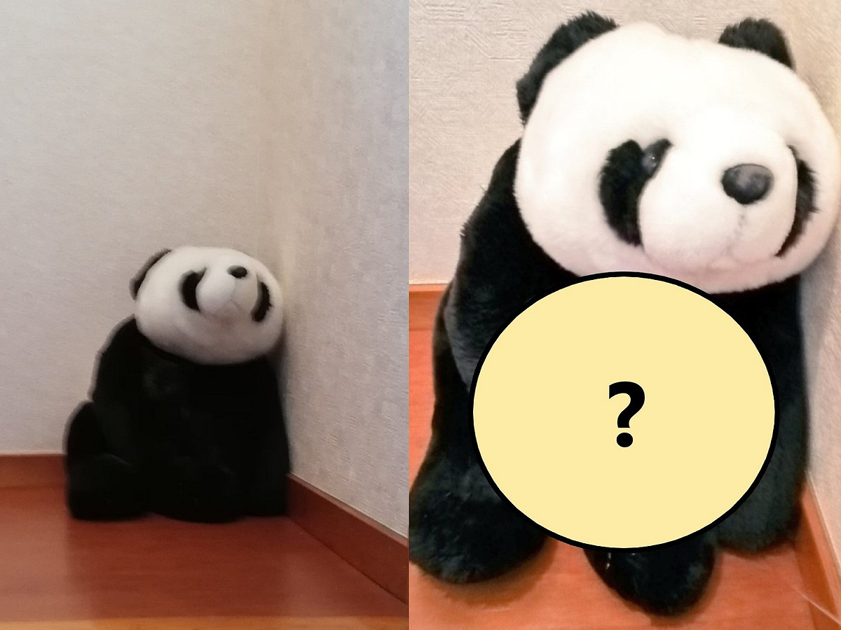 原來大家忙半天找的小黑貓，竟然藏身在貓熊黑黑的身上，被網友笑說這個隱身術太強大！ 圖：取自／twitter@kisakichiaki
