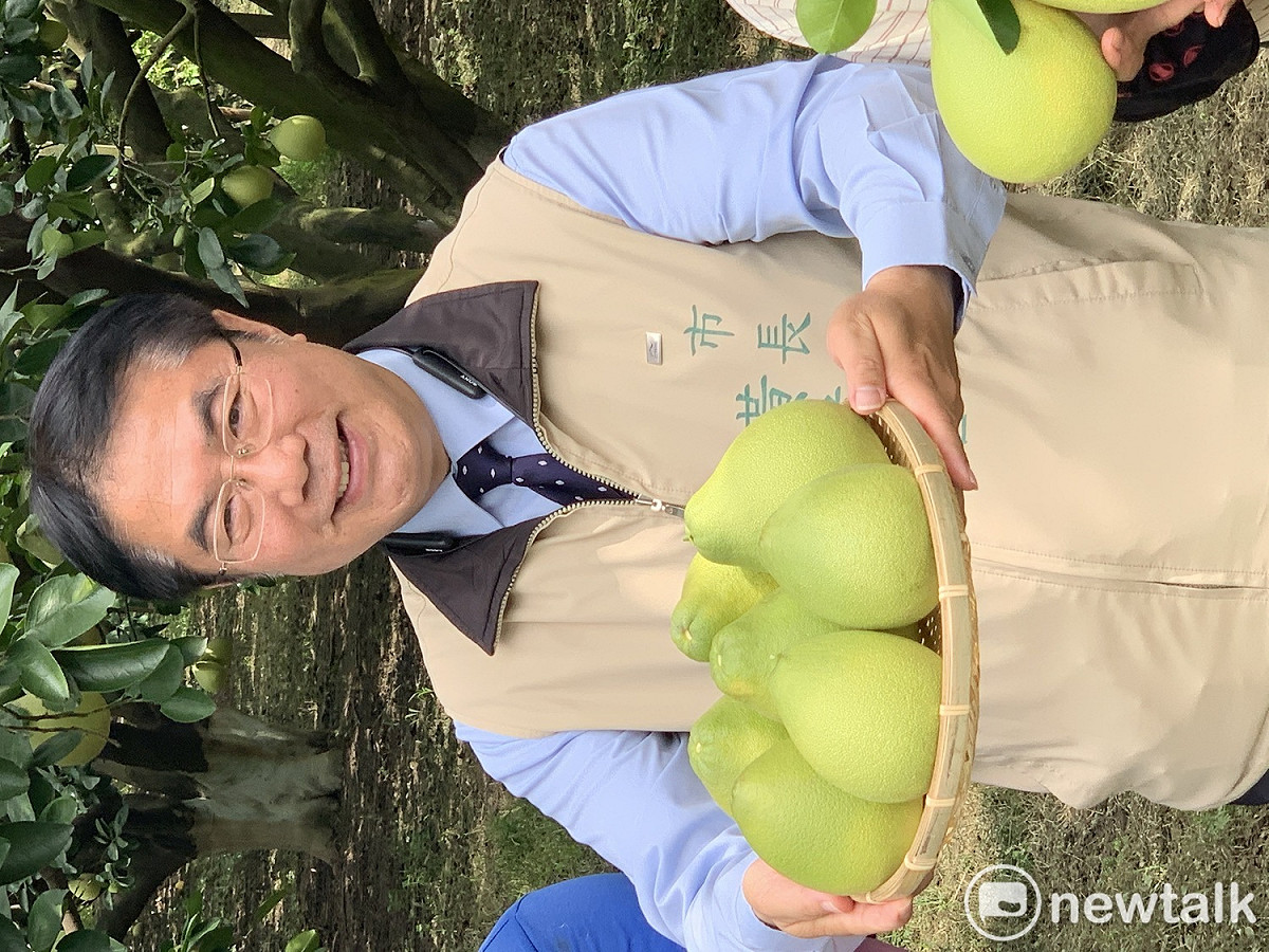 政府為穩定文旦柚產銷價格，啟動大果收購措施，但有果農向台南市長黃偉哲反映，收購作業已經結束1個月了，卻還沒有收到補助款，黃偉哲體恤農民，指示先行動用市庫撥款。 圖：台南市政府／提供