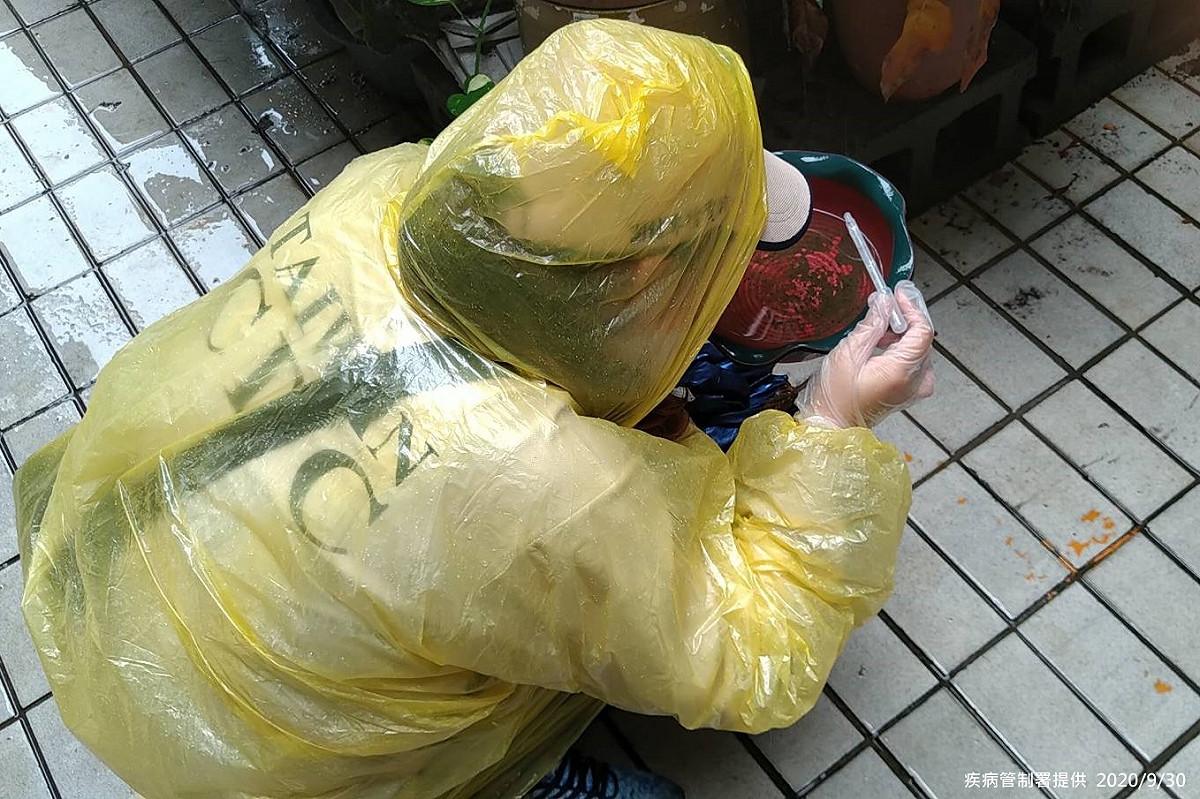 疾管署防疫人員持續於新北市三峽區五寮里進行孳生源查核 圖：疾管署/提供