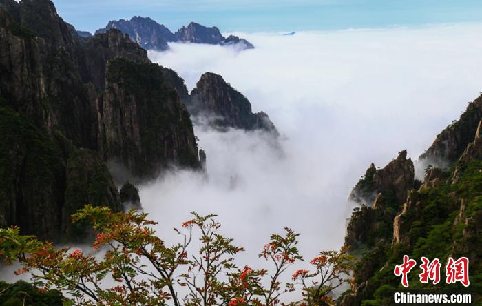 黃山雨後雲海美景。 圖 : 翻攝自中新網
