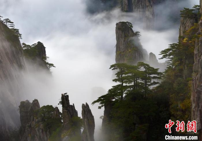 黃山雨後雲海美景。 圖 : 翻攝自中新網