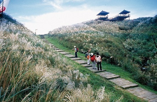 東北角草嶺古道。  圖：新北市觀光旅遊局提供