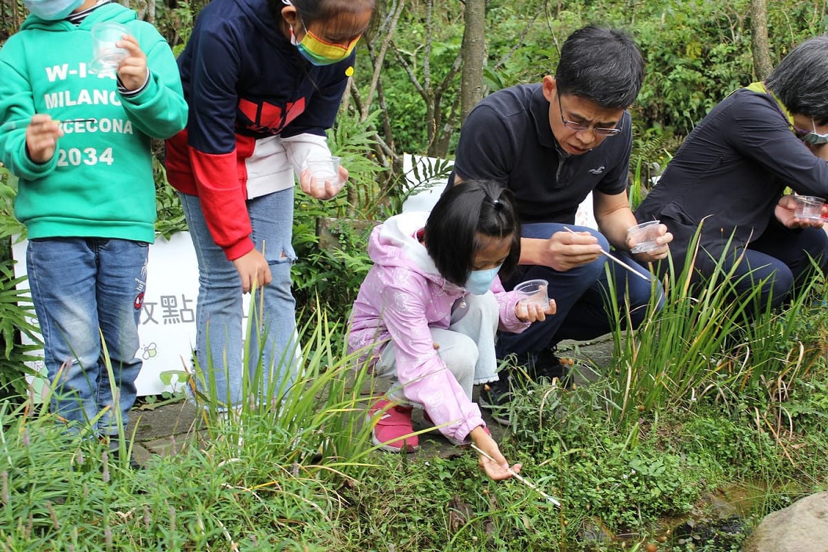 農業局副局長徐開宇陪學童親手將螢火蟲幼蟲野放至池塘。  圖：新北市農業局／提供