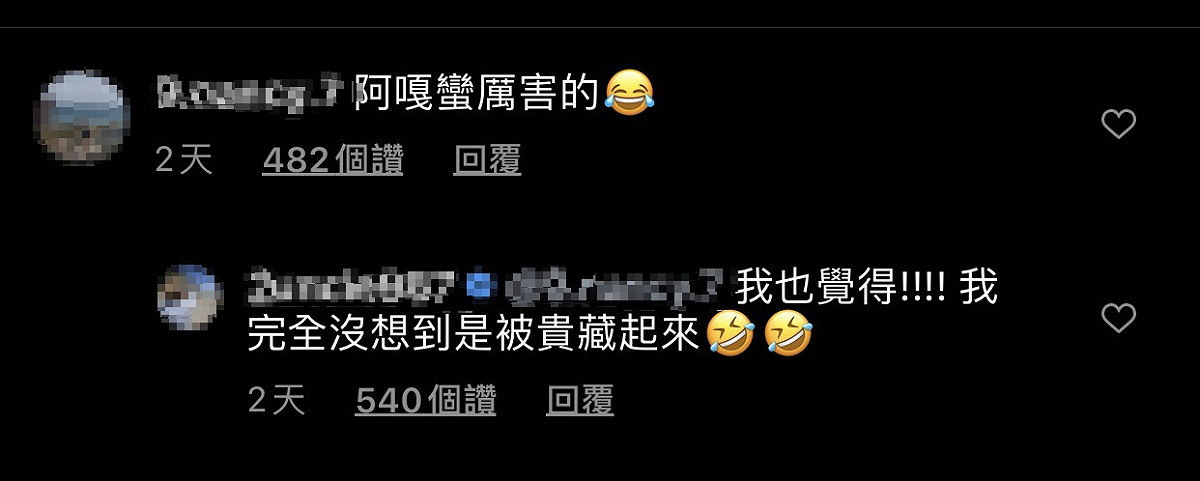 網友留言阿嘎蠻厲害的，能騙到蔡桃貴把手機交出來，二伯也說她沒想到是蔡桃貴藏起來的。 圖：翻攝Instagram