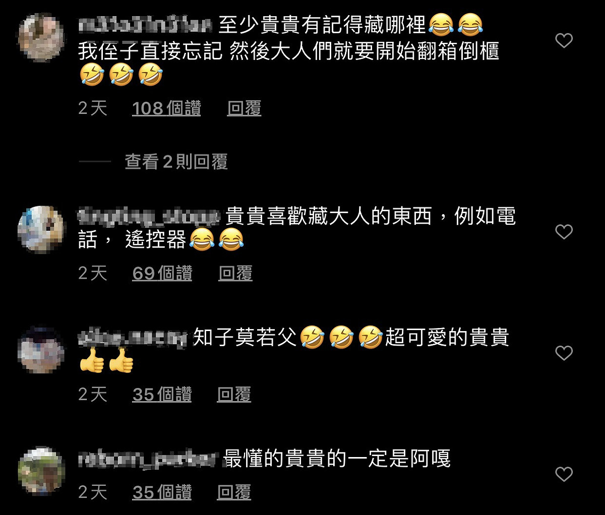 不少網友備蔡桃貴萌翻，直說貴貴有記得藏在哪裡就好。 圖：翻攝Instagram