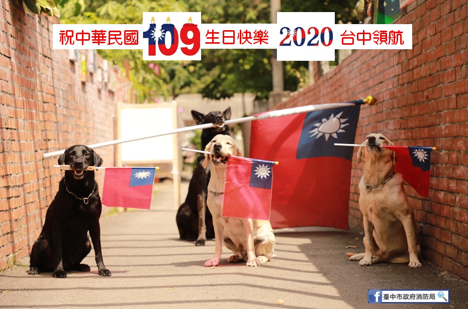 救難英雄腿腿、斯斯、Jacob、鐵雄等搜救犬叼著國旗排排站，看著青天白日滿地紅的國旗緩緩升起，一起祝賀「雙十國慶 普天同慶」。 圖:台中市消防局/提供