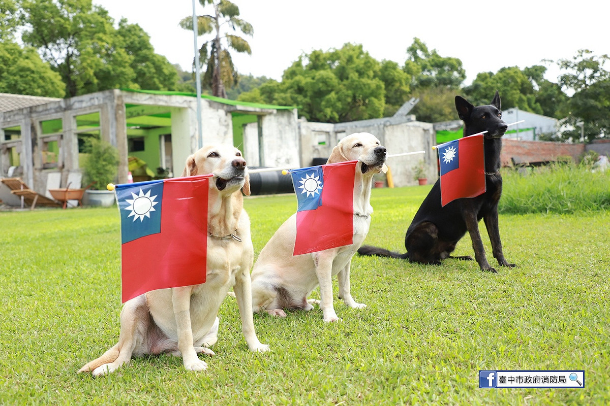 救難英雄腿腿、斯斯、Jacob、鐵雄等搜救犬叼著國旗排排站，看著青天白日滿地紅的國旗緩緩升起，一起祝賀「雙十國慶 普天同慶」。 圖:台中市消防局/提供