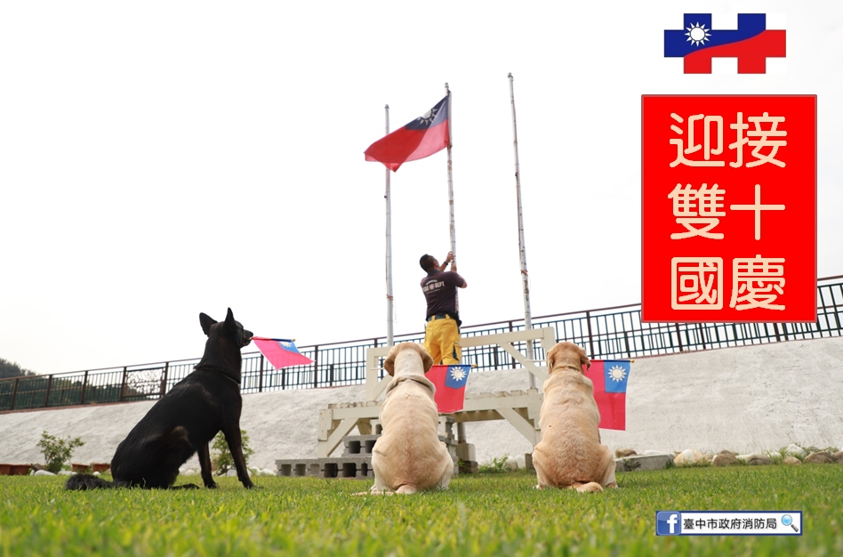 救難英雄腿腿、斯斯、Jacob、鐵雄等搜救犬叼著國旗排排站，看著青天白日滿地紅的國旗緩緩升起，一起祝賀「雙十國慶 普天同慶」。 圖:台中市消防局/提供