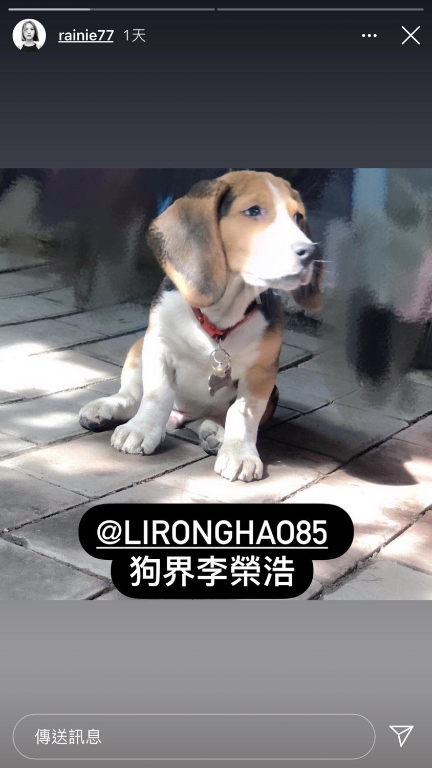 楊丞琳昨天在IG限時動態曬出一隻狗狗的照片，並寫下「狗界李榮浩」還tag她老公李榮浩本人，甜蜜指數瞎翻網友。 圖：翻攝Instagram