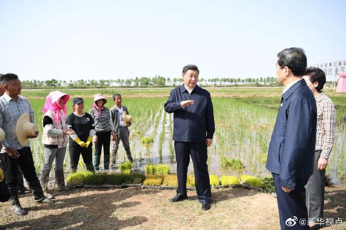 中國領導人習近平視察農家耕種情形 圖:擷取自臉書