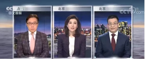 重新現身央視的李紅，在節目中訪問北京及台灣的學者。 圖 : 翻攝自央視