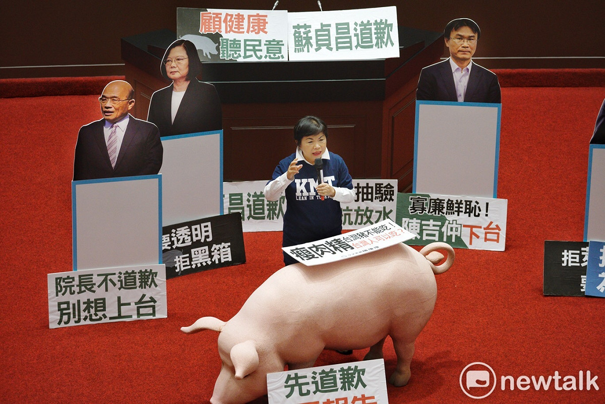 國民黨立委在立法院議場發起「在野國是論壇」，國民黨立委楊瓊瓔（中）高歌《我問天》，稱是替民眾表達無奈心聲。 圖：張良一/攝