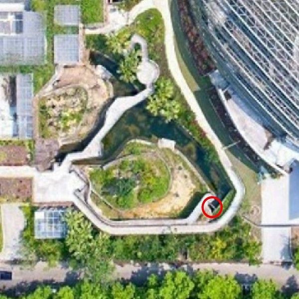 小食蟻獸戶外活動區空照圖，紅圈部份為小紅攜子逃脫的地方 圖：台北市立動物園／提供
