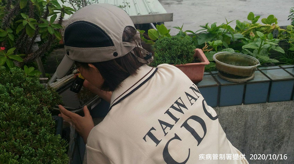 疾管署防疫人員於新北市板橋區港嘴里本土登革熱個案住家周邊進行孳生源查 圖：疾病管制署提供
