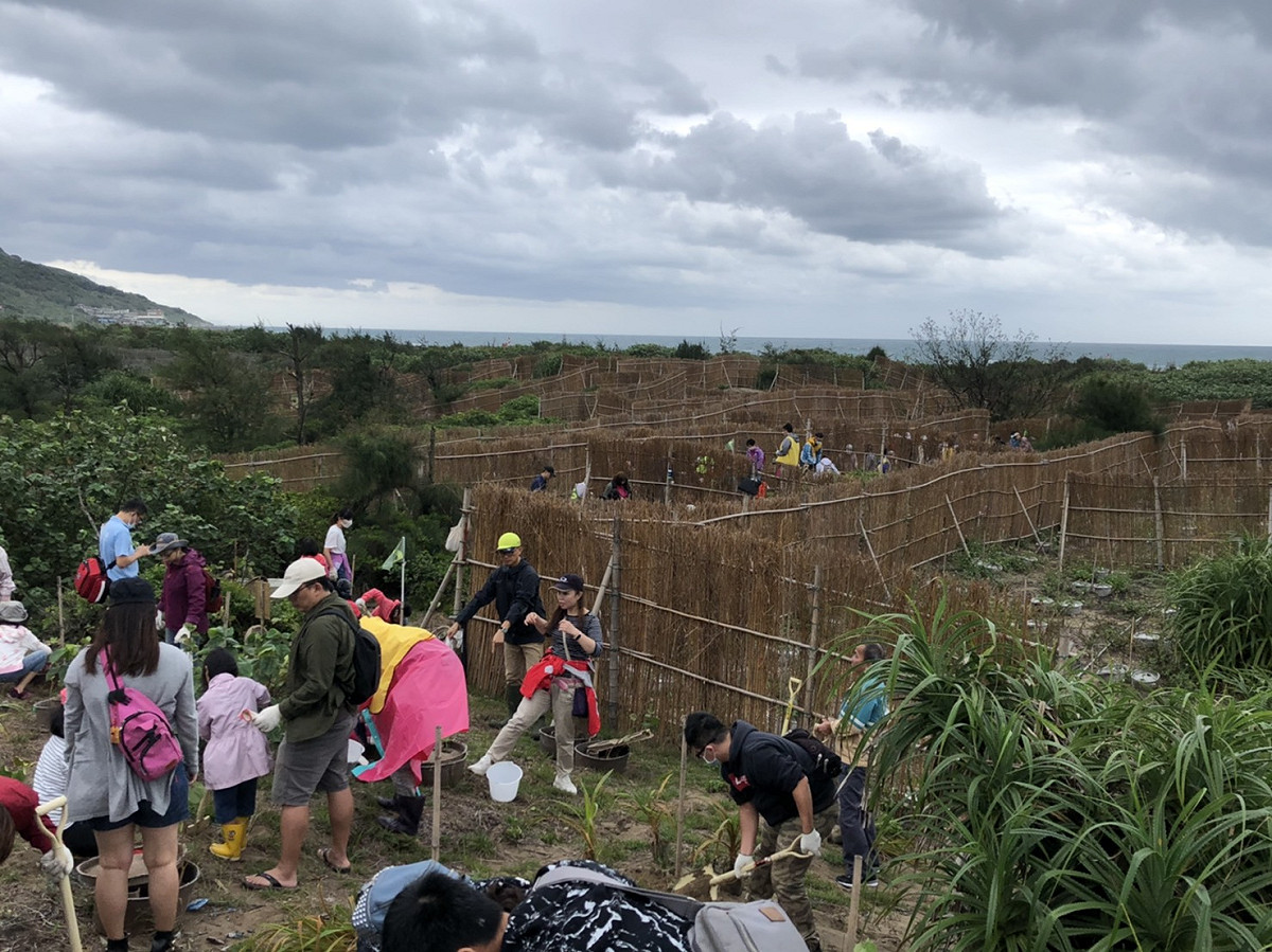 中角灣海岸造林植樹活動。 圖：新北市農業局提供