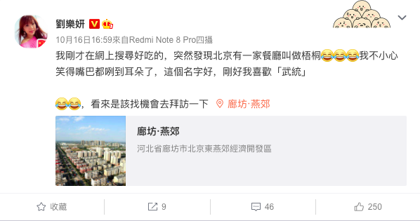 劉樂妍在微博諷刺「我喜歡『武統』」，引來網友批評。 圖：取自劉樂妍微博