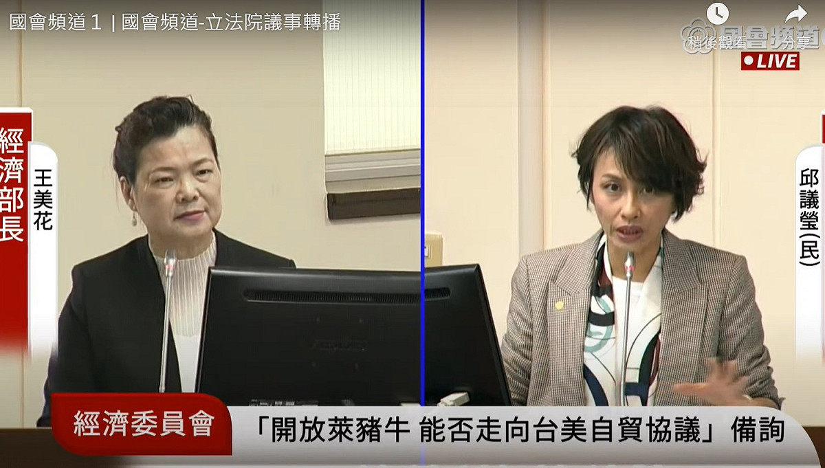 民進黨立委邱議瑩質詢經濟部長王美花。 圖：擷取自國會頻道