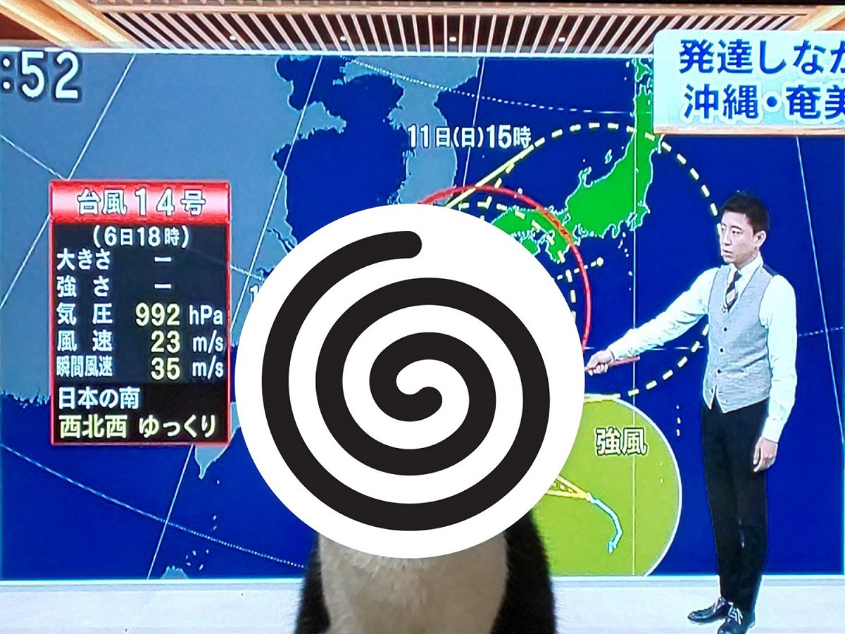 日本一名推主日前觀看颱風動態消息時，卻遭到推主的賓士貓擋在螢幕前「亂入」。 圖：取自twitter@jAsMine7009
