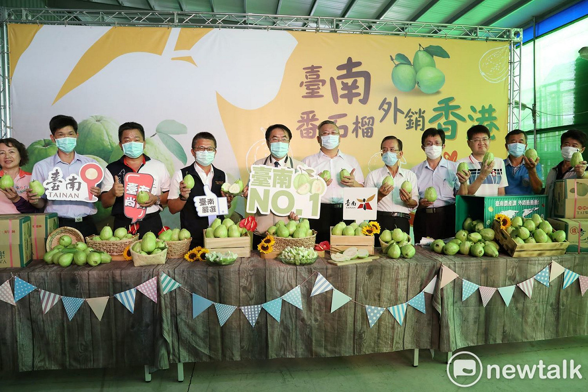台南芭樂大舉外銷，台南市長黃偉哲今日前往楠西區福農果菜運銷合作社集貨包裝場視察芭樂外銷香港的情形。 圖：黃博郎／攝