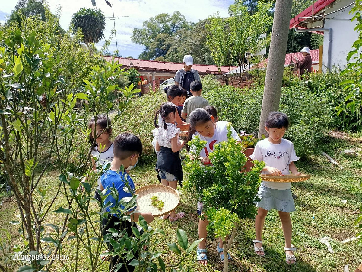 蓮華池療癒嚮導帶領學童體驗自然。 圖：農委會林試所／提供
