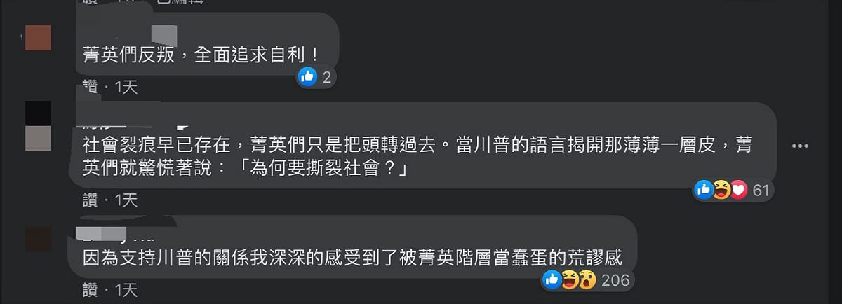 顏擇雅臉書貼文下網友留言。 圖：翻攝自顏擇雅臉書