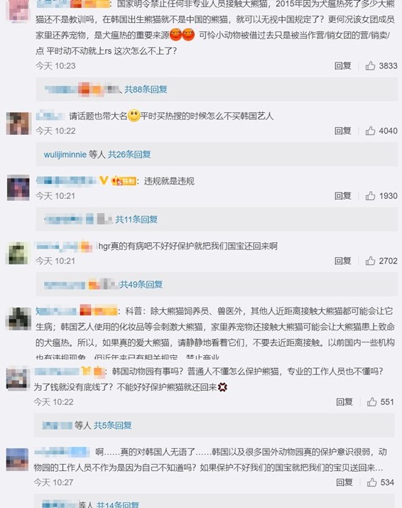 中國網友超氣，痛批「韓國人不會養就把熊貓還回來」。 圖：截圖自微博