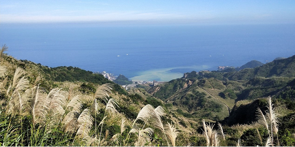 芒花古道－金瓜石浪漫公路觀景台。 圖：新北市觀傳局／提供