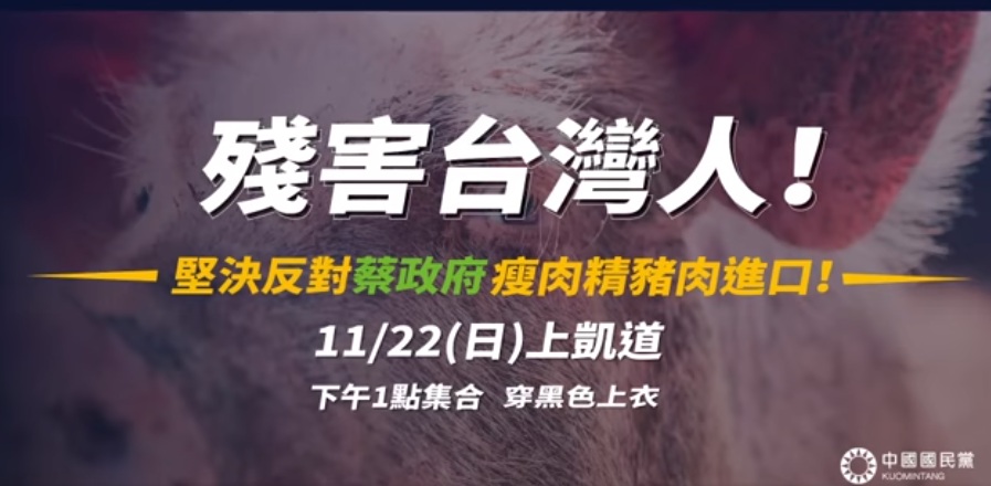 11/22國民黨號召反萊豬大遊行 圖:截取自臉書