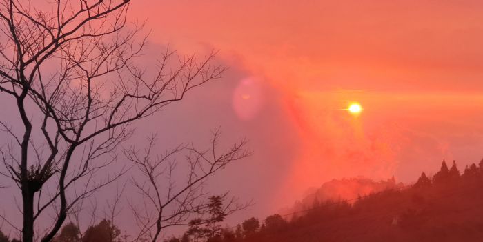 頂湖環湖步道夕陽。 圖：嘉義縣政府／提供