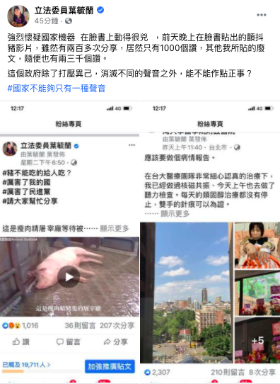 葉毓蘭質疑民進黨政府消滅反萊豬聲音。 圖：翻攝自葉毓蘭臉書
