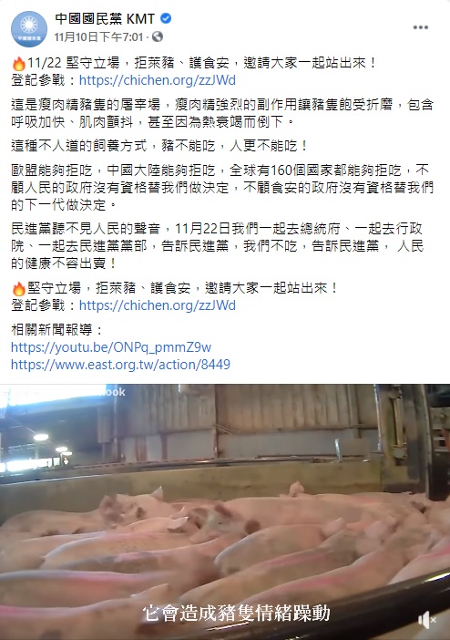 國民黨臉書日前貼出屠宰場豬隻抽搐、躁動的影片，宣稱是瘦肉精強烈的副作用讓豬隻飽受折磨。 翻攝自中國國民黨KMT臉書