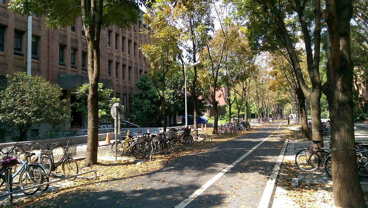 圖為台大校園。 圖/台大臉書